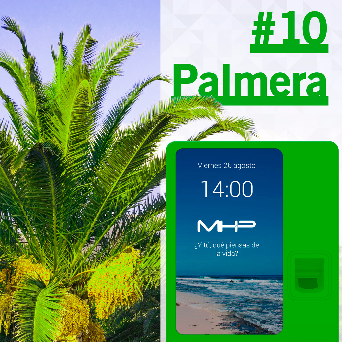 -10Palmera_es